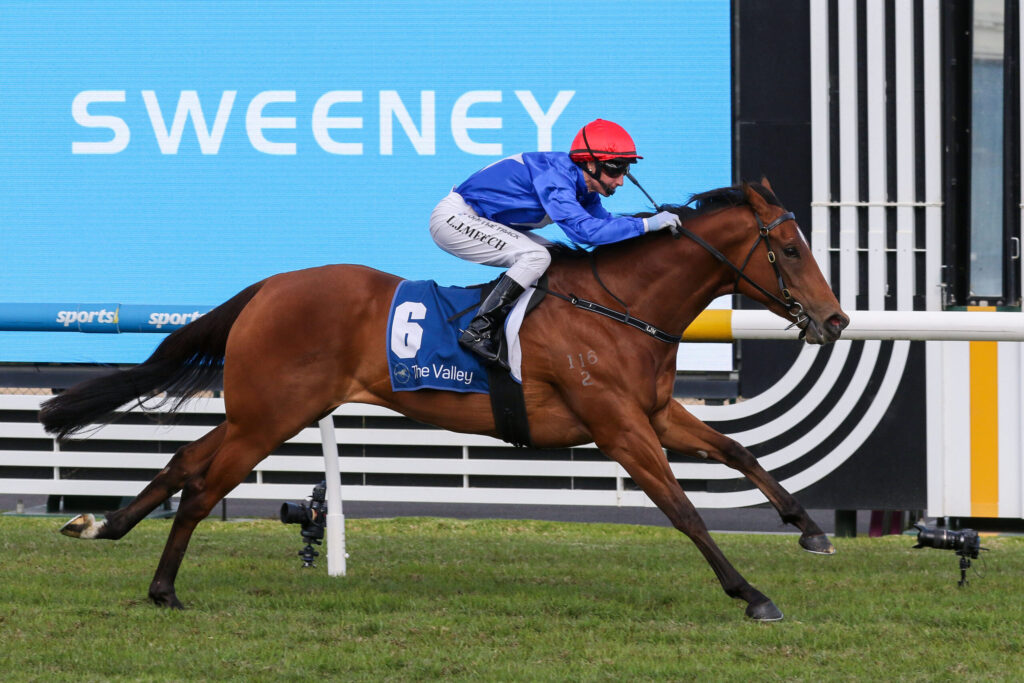 Horse and jockey in blue, red helmet mid-jump over hurdle during a race; saddlecloth shows number 6 and 'The Valley' logo.