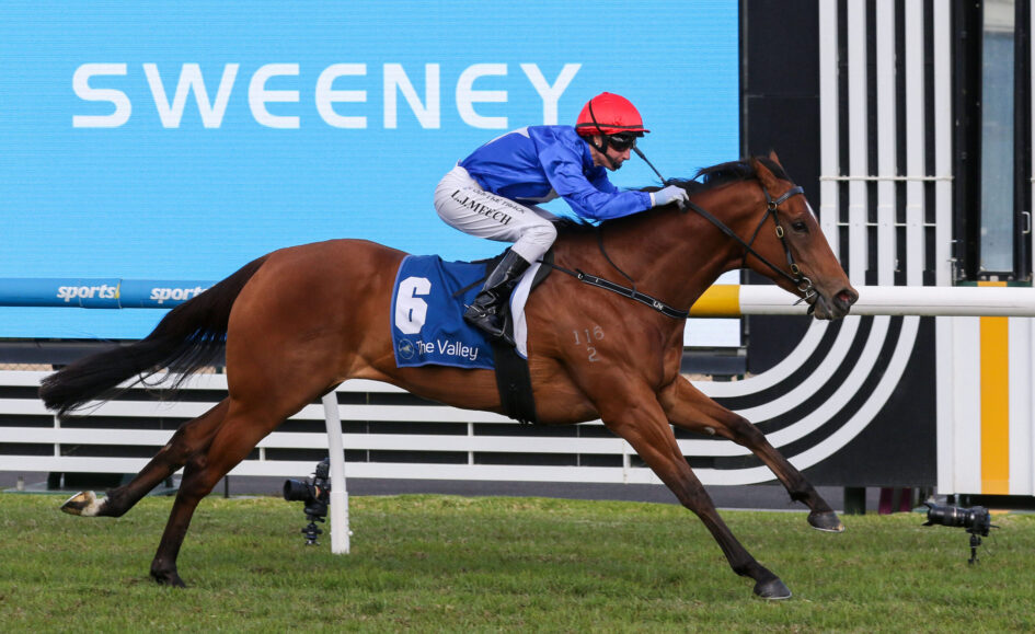 Horse and jockey in blue, red helmet mid-jump over hurdle during a race; saddlecloth shows number 6 and 'The Valley' logo.