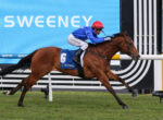 Jockey in blue silks and red helmet rides a brown horse over a white hurdle on a grassy track, number 6 saddle cloth visible, advertisement boards in background.