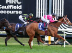 Horse race in progress with two jockeys leaning forward on sprinting horses, pink and green racing silks, blue and white saddlecloths, near a black-and-white grandstand backdrop.