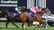 Horse race in progress with two jockeys leaning forward on sprinting horses, pink and green racing silks, blue and white saddlecloths, near a black-and-white grandstand backdrop.