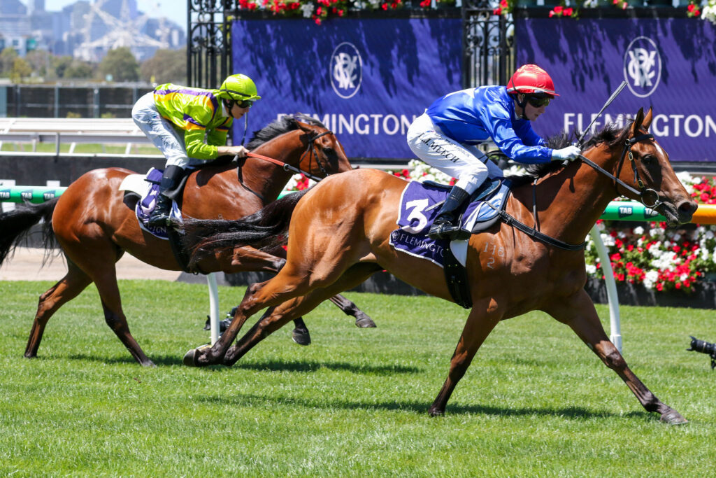 Two jockeys in bright silks ride fast-moving horses on a green turf racecourse, with a purple sponsor banner in the background. Two horses race side by side as jockeys lean forward, wearing lime-green/purple and blue/red outfits. Jockeys in neon green and blue silks race vigorously, guiding their thoroughbreds on a sunny day. A close racing moment showing two horses galloping at full speed with riders holding the reins and crops. The horse race scene features vibrant jockey colors, lush green grass, and floral decorations along the track.