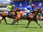 Two jockeys in bright silks ride fast-moving horses on a green turf racecourse, with a purple sponsor banner in the background. Two horses race side by side as jockeys lean forward, wearing lime-green/purple and blue/red outfits. Jockeys in neon green and blue silks race vigorously, guiding their thoroughbreds on a sunny day. A close racing moment showing two horses galloping at full speed with riders holding the reins and crops. The horse race scene features vibrant jockey colors, lush green grass, and floral decorations along the track.