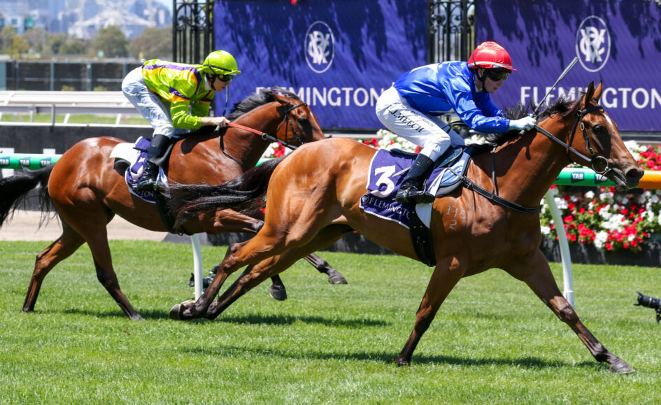 Two jockeys in bright silks ride fast-moving horses on a green turf racecourse, with a purple sponsor banner in the background. Two horses race side by side as jockeys lean forward, wearing lime-green/purple and blue/red outfits. Jockeys in neon green and blue silks race vigorously, guiding their thoroughbreds on a sunny day. A close racing moment showing two horses galloping at full speed with riders holding the reins and crops. The horse race scene features vibrant jockey colors, lush green grass, and floral decorations along the track.