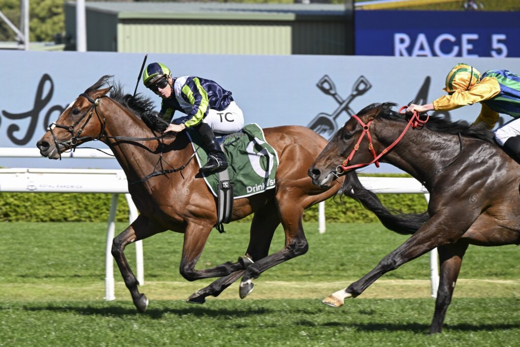 Two jockeys ride their horses at full speed during a daytime horse race, with a blue 'Race 5' sign in the background and green turf beneath.