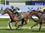 Two jockeys ride their horses at full speed during a daytime horse race, with a blue 'Race 5' sign in the background and green turf beneath.