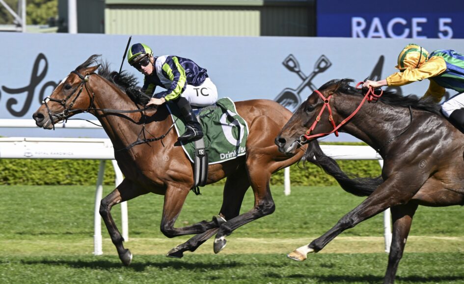 Two jockeys ride their horses at full speed during a daytime horse race, with a blue 'Race 5' sign in the background and green turf beneath.