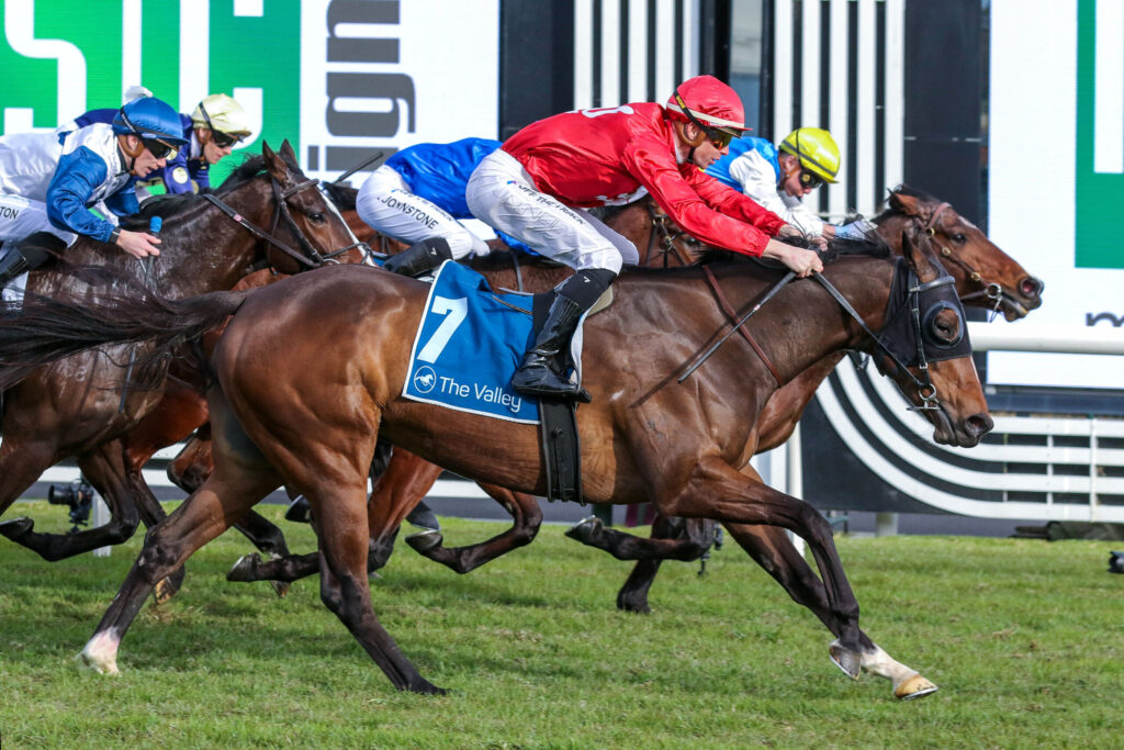 Jockeys in colorful silks ride fast thoroughbreds neck-and-neck in a horse race on a grassy track, leaning forward as they race.