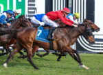 Jockeys in colorful silks ride fast thoroughbreds neck-and-neck in a horse race on a grassy track, leaning forward as they race.