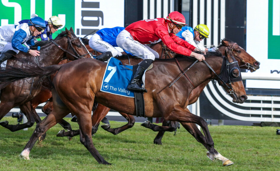 Jockeys in colorful silks ride fast thoroughbreds neck-and-neck in a horse race on a grassy track, leaning forward as they race.