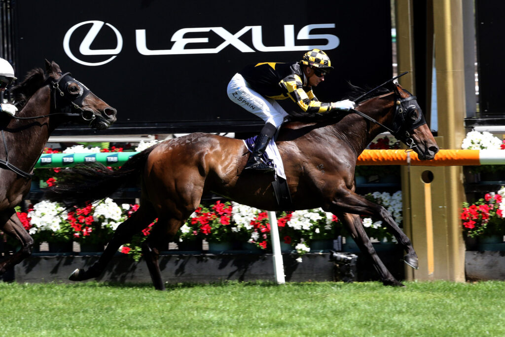 Jockey in black-and-yellow silks rides a dark brown horse at full speed in a race, Lexus banner in background.