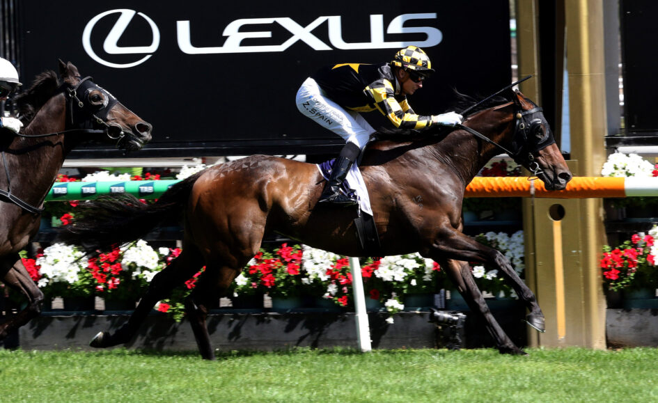 Jockey in black-and-yellow silks rides a dark brown horse at full speed in a race, Lexus banner in background.