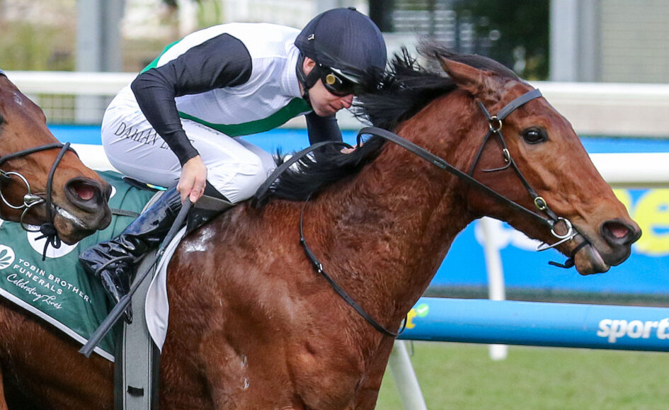 Jockey leaning forward on a brown horse during a race, wearing white and black silks with a dark helmet.