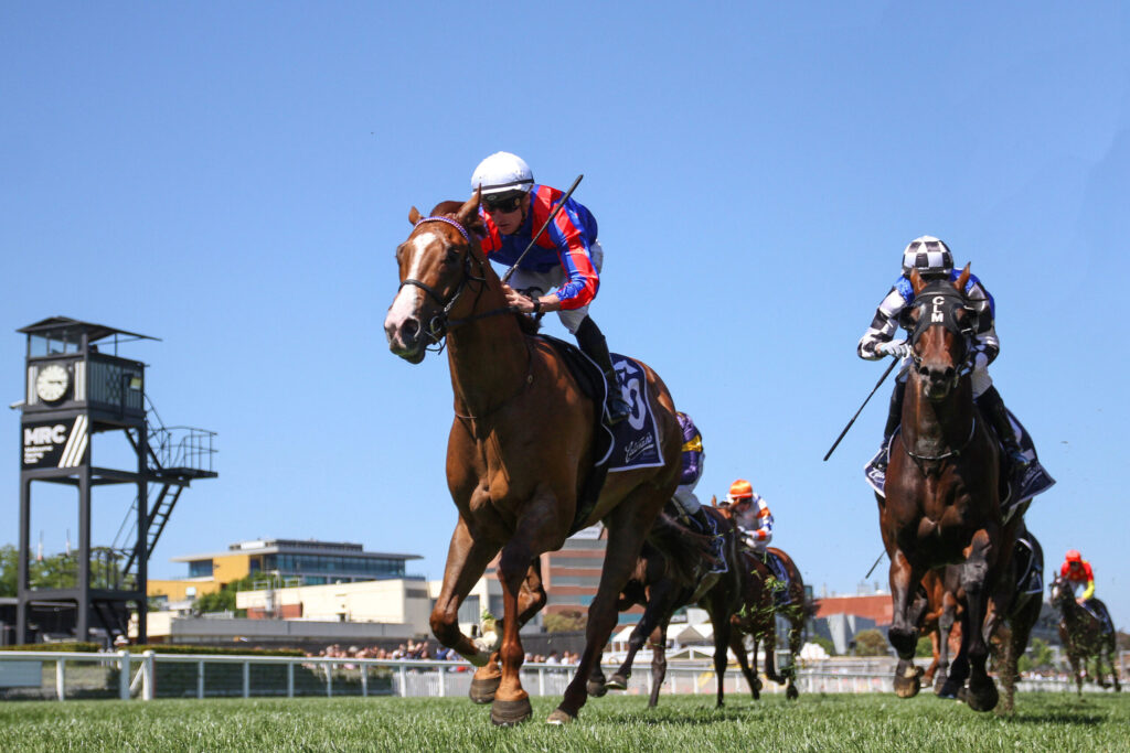 Jockeys on galloping horses jumping a hurdle during a daytime horse race on a grass track under a clear blue sky, with a viewing tower on the left.