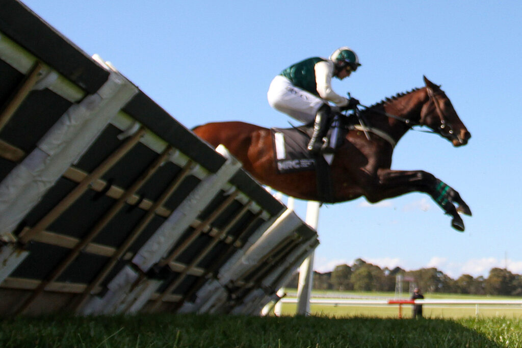 Horse and rider in green attire leap over a wooden obstacle in a grassy field under a clear blue sky.