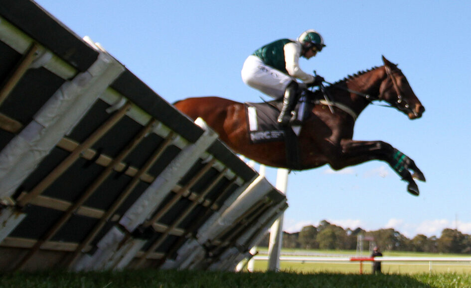 Horse and rider in green attire leap over a wooden obstacle in a grassy field under a clear blue sky.