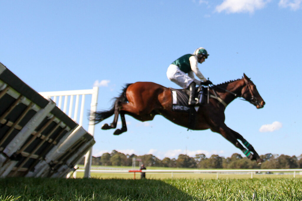 Horse and rider mid-air as they clear a wooden jump in a sunny outdoor equestrian event.