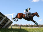 Horse and rider mid-air as they clear a wooden jump in a sunny outdoor equestrian event.