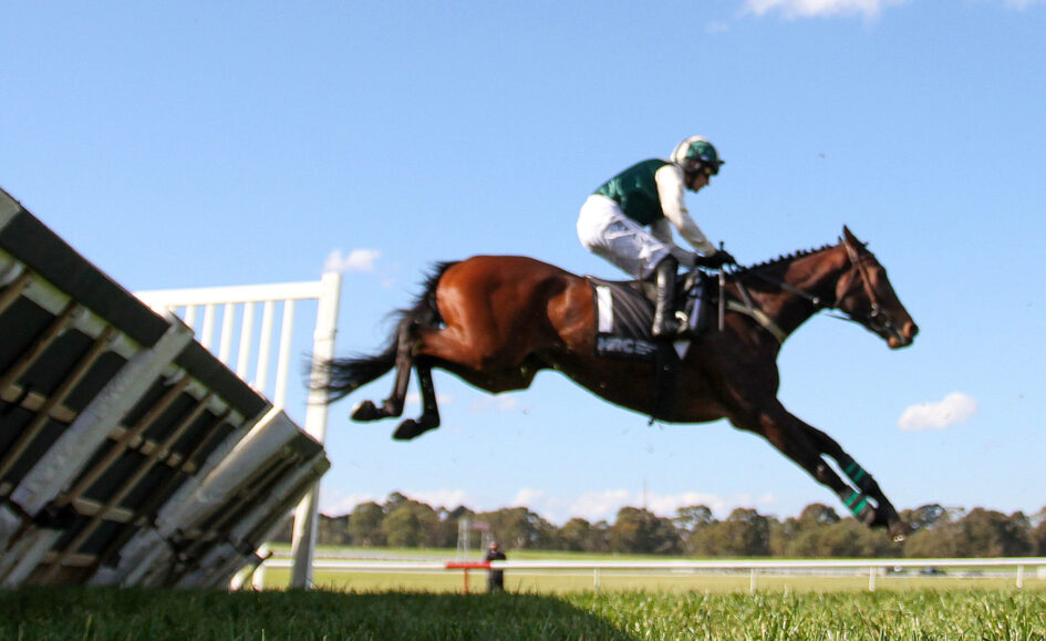 Horse and rider mid-air as they clear a wooden jump in a sunny outdoor equestrian event.