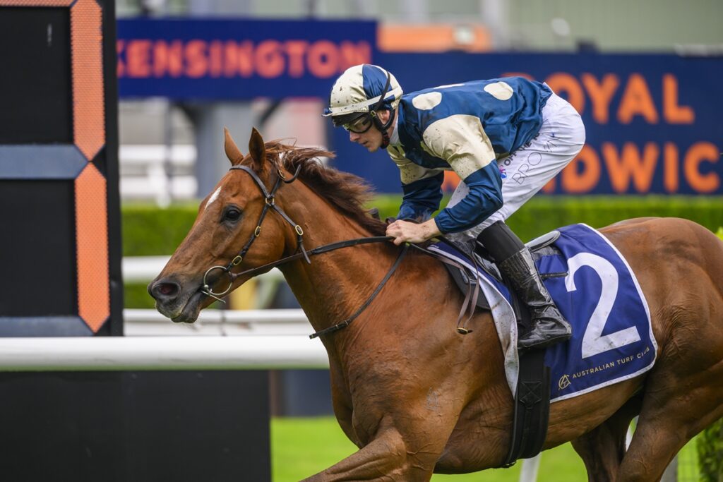 Jockey in blue and white silks rides a brown horse wearing number 2 during a race on a turf track.