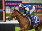 Jockey in blue and white silks rides a brown horse wearing number 2 during a race on a turf track.