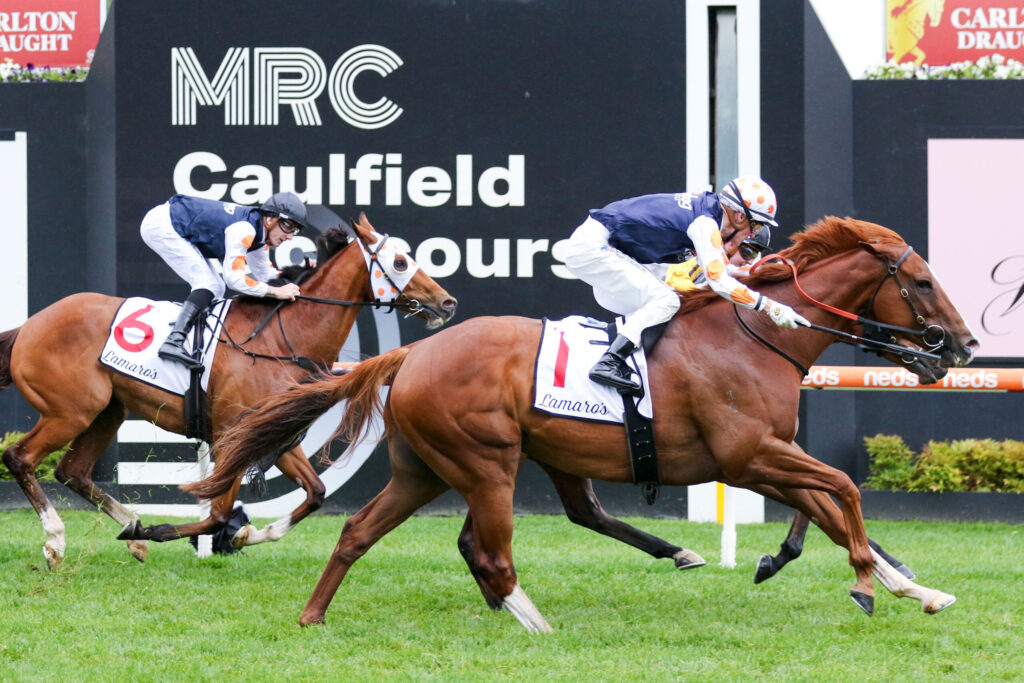 Two jockeys ride racing horses in a fast, close finish at Caulfield Racecourse with a large Caulfield sign in the background.