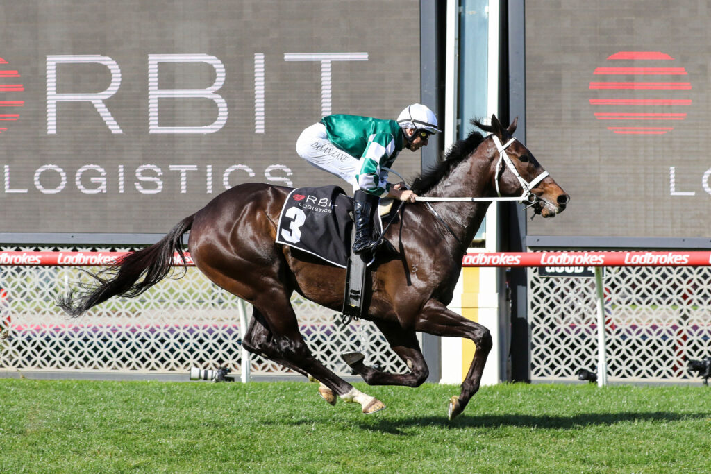 Jockey in green-and-white silks rides a dark brown horse mid-jump over a hurdle on a grassy track, with sponsor signage in the background.