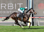 Jockey in green-and-white silks rides a dark brown horse mid-jump over a hurdle on a grassy track, with sponsor signage in the background.