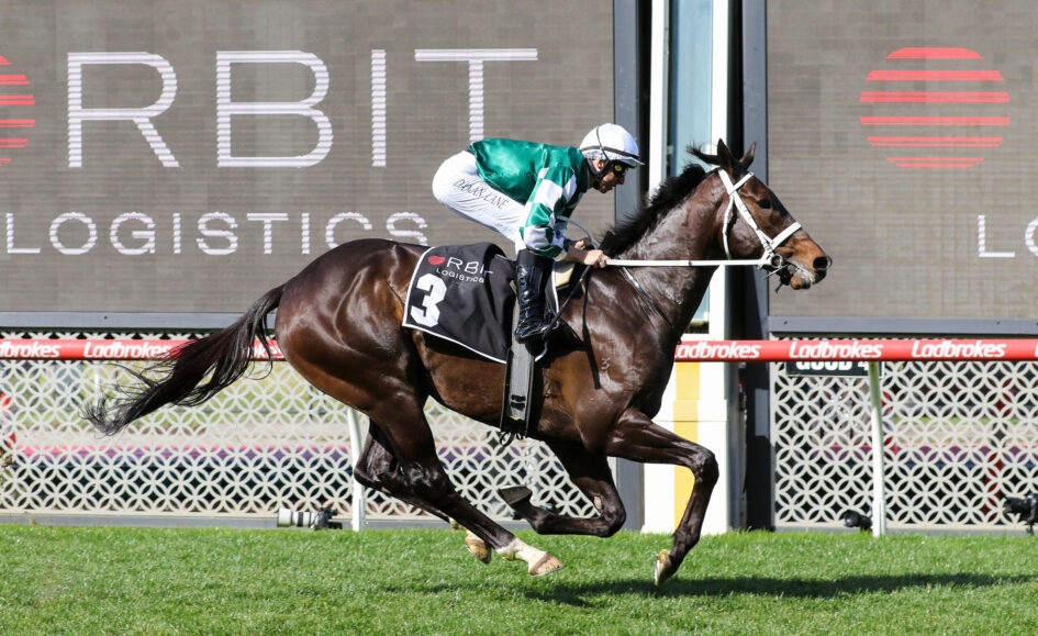 Jockey in green-and-white silks rides a dark brown horse mid-jump over a hurdle on a grassy track, with sponsor signage in the background.