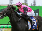 Jockey wearing a pink polka-dot helmet and matching pink shirt rides a dark horse during a race, with a green track barrier in the background.