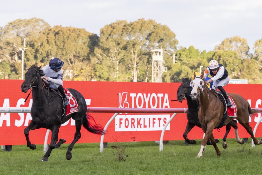 Two jockeys on galloping horses race along a grassy track with a bright red Toyota sign in the background.