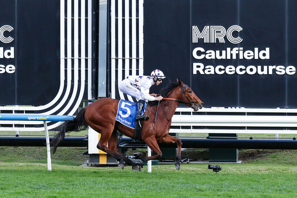 Jockey in white star-pattern silks rides a brown horse at Caulfield Racecourse by the finish barriers.