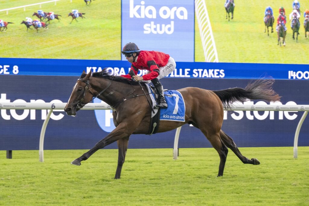 A jockey in red silks rides a brown racehorse sprinting on a grass track in front of a large blue advertising board reading 'kia ora stud'.