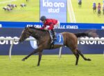 A jockey in red silks rides a brown racehorse sprinting on a grass track in front of a large blue advertising board reading 'kia ora stud'.