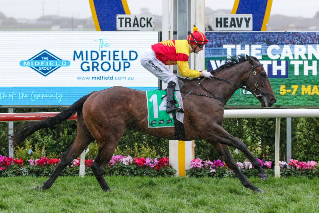 Jockey in red-and-yellow silks riding a brown horse with green number 14 saddle cloth during a race, advertising boards in background.