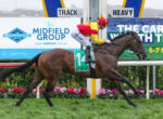 Jockey in red-and-yellow silks riding a brown horse with green number 14 saddle cloth during a race, advertising boards in background.