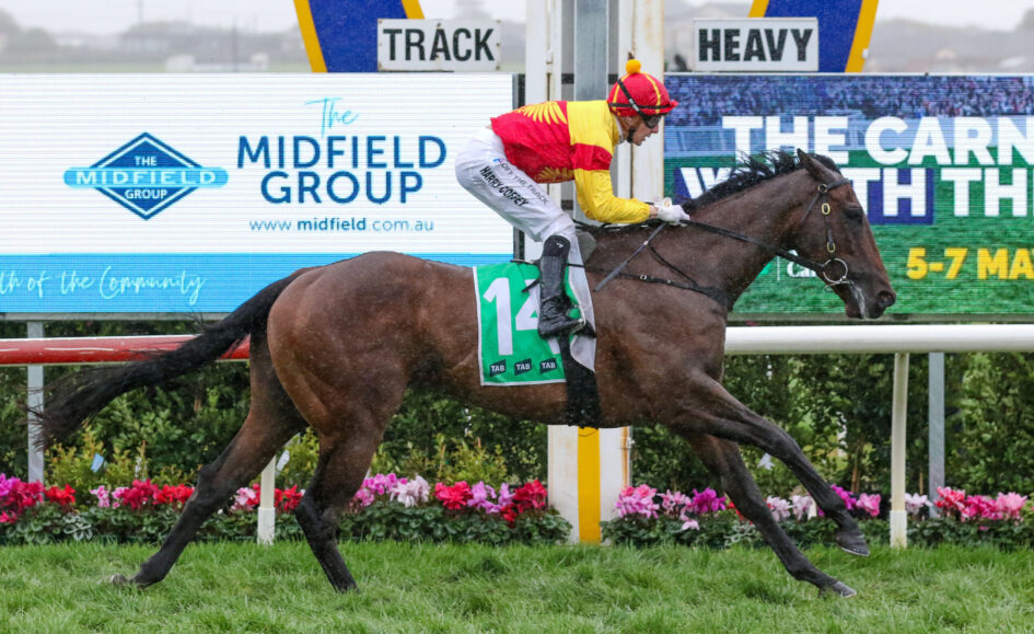 Jockey in red-and-yellow silks riding a brown horse with green number 14 saddle cloth during a race, advertising boards in background.