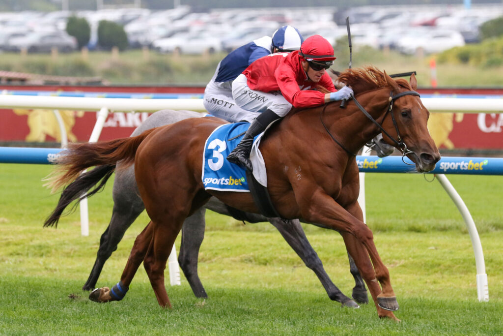 Two jockeys race a brown horse on a grass track, sprinting toward the finish line amid a crowd of blurred spectators in the background.