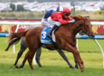 Two jockeys race a brown horse on a grass track, sprinting toward the finish line amid a crowd of blurred spectators in the background.