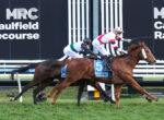 Horse racing action with two jockeys in white and red silks riding forward at Caulfield Racecourse near a striped barrier fence