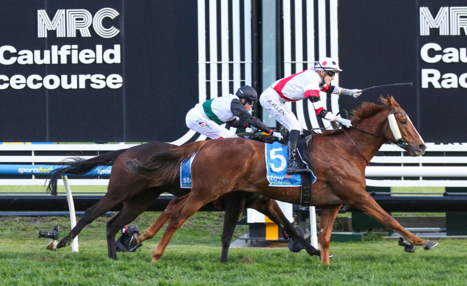 Horse racing action with two jockeys in white and red silks riding forward at Caulfield Racecourse near a striped barrier fence