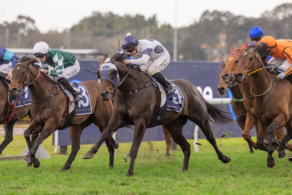 Horses and jockeys sprinting in a crowded horse race on a grassy track, riders leaning forward in mid-race.