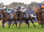Horses and jockeys sprinting in a crowded horse race on a grassy track, riders leaning forward in mid-race.