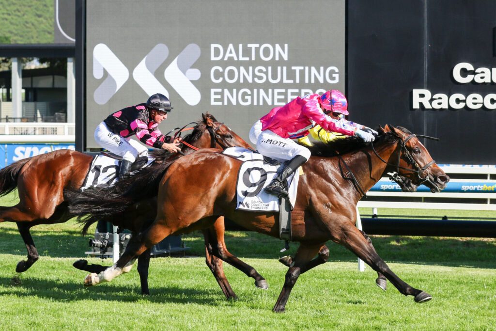Two jockeys race brown horses on a grass track with a large Dalton Consulting Engineers sign in the background.