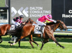 Two jockeys race brown horses on a grass track with a large Dalton Consulting Engineers sign in the background.
