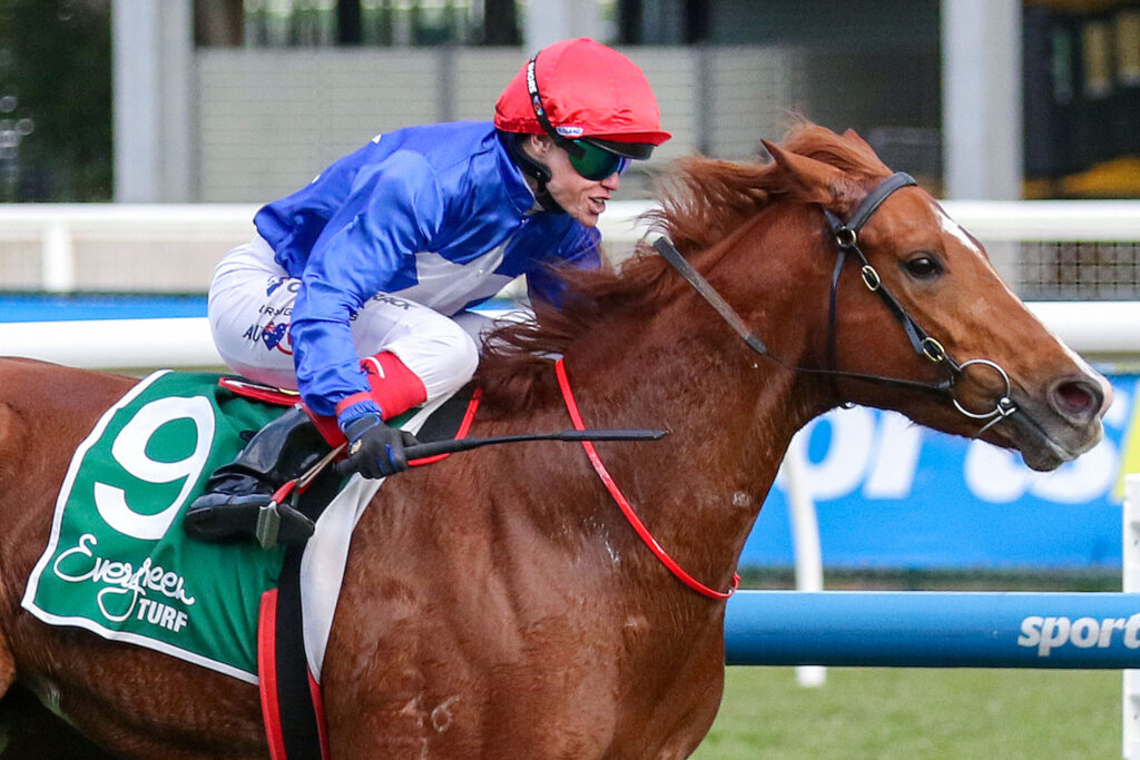 Jockey in red helmet and blue silks rides a brown horse at a race track with a green numbered saddle pad visible (number 9).