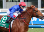 Jockey in red helmet and blue silks rides a brown horse at a race track with a green numbered saddle pad visible (number 9).