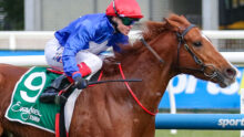 Jockey in red helmet and blue silks rides a brown horse at a race track with a green numbered saddle pad visible (number 9).
