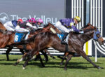 Jockeys in colorful silks ride sprinting horses on a grass racecourse, close pack charging forward.