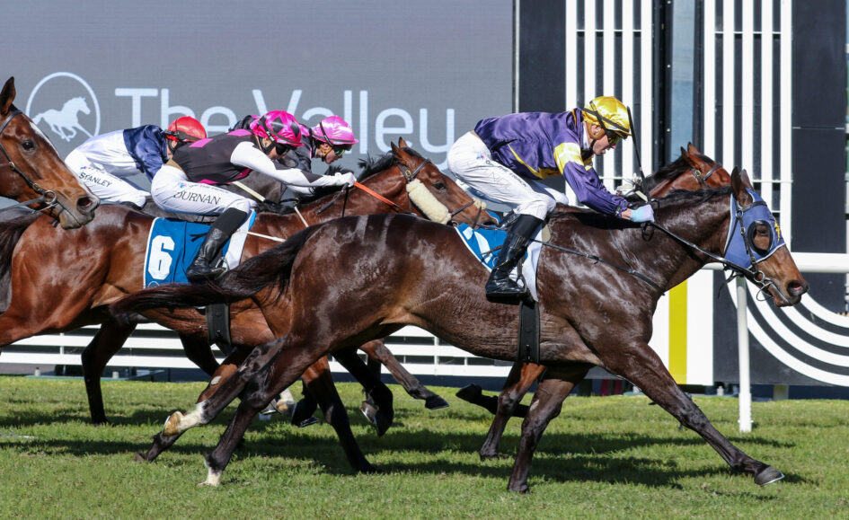 Jockeys in colorful silks ride sprinting horses on a grass racecourse, close pack charging forward.